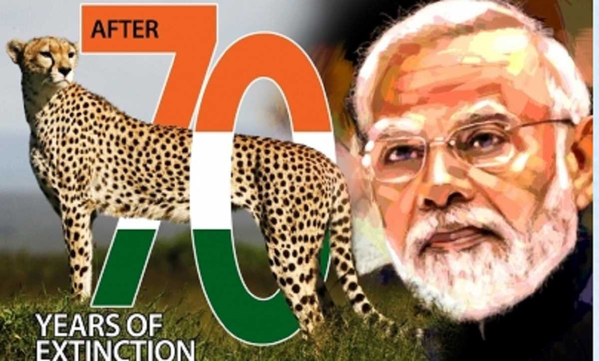 चीतों के भारत आगमन से वन्यजीव विविधता को बढ़ावा : पीएम मोदी